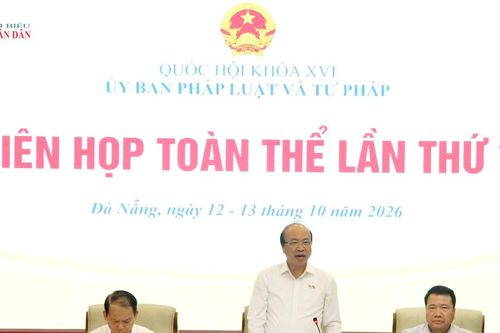Ủy ban Pháp luật và Tư pháp họp Phiên toàn thể lần thứ 14