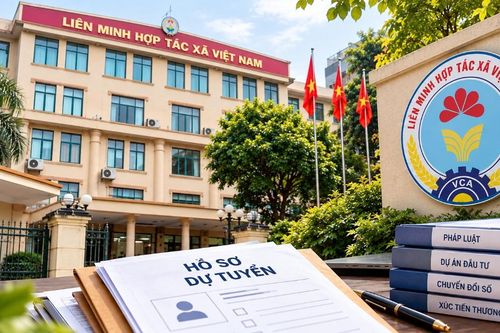 Liên minh Hợp tác xã Việt Nam tuyển 26 biên chế