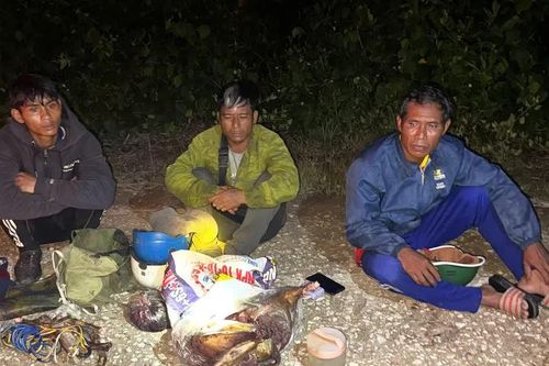Bắt quả tang 3 đối tượng săn bắt động vật hoang dã