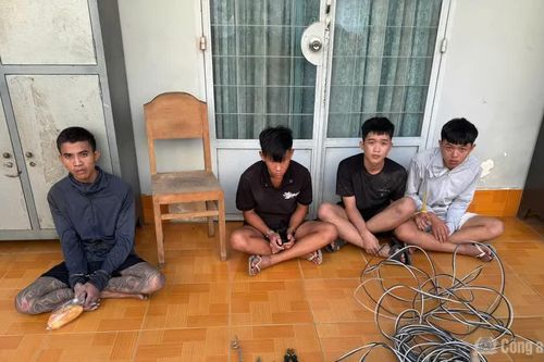 Bắt nhóm trộm dây điện, phát hiện đối tượng truy nã đặc biệt
