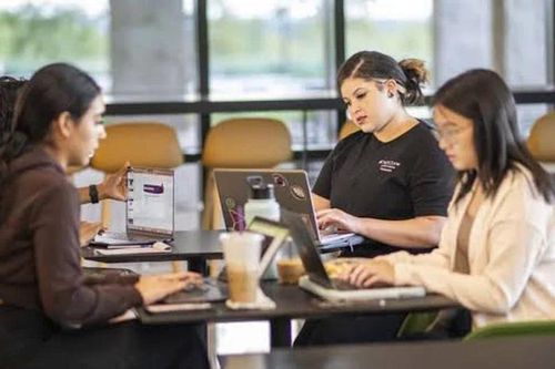 Đại học Mỹ đóng, sáp nhập hàng loạt chương trình đào tạo