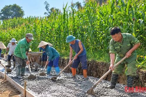 Nông dân phường Thục Phán phối hợp làm đường nội đồng tại tổ dân phố Nặm Lìn