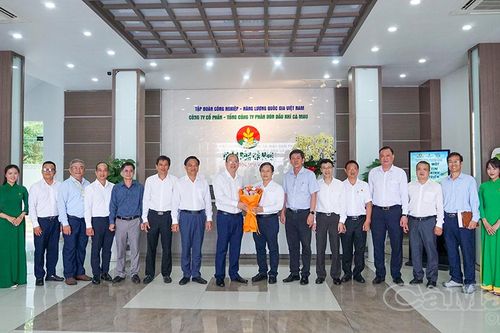 Bí thư Tỉnh uỷ Cà Mau thăm, chúc mừng các doanh nghiệp nhân Ngày Doanh nhân Việt Nam