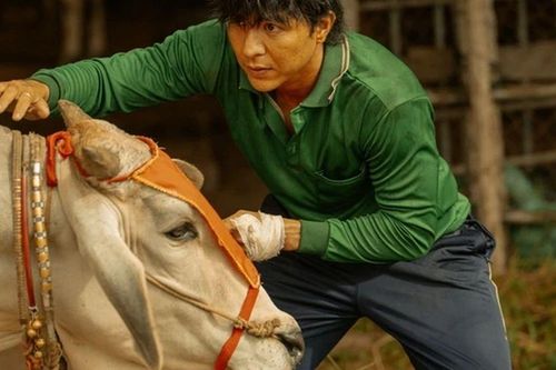 Phim Việt đang gây sốt phòng vé: 17 ngày thu 400 tỷ đồng, nam chính từng góp mặt trong bom tấn 714 tỷ