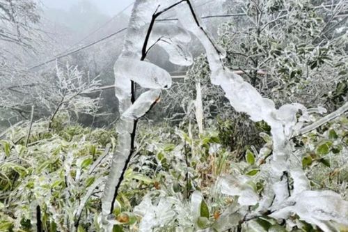 Không phải Sa Pa, Việt Nam có đỉnh núi cao 1.931 m từng lạnh -9°C, băng phủ trắng như châu Âu
