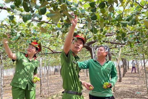 Những câu chuyện đẹp về nghị lực hoàn lương ở Khánh Hòa