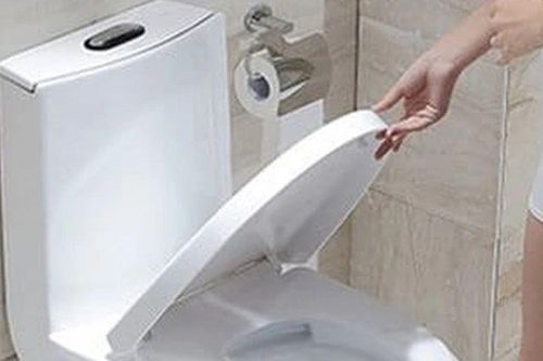 Khi xả nước bồn cầu nên đóng hay mở nắp? Nhiều người làm sai suốt nhiều năm mà không biết