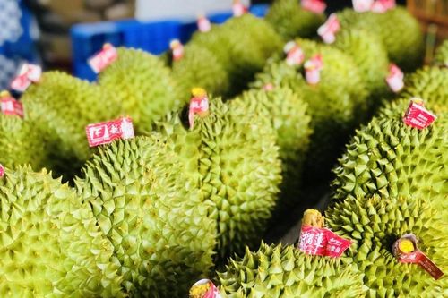 Xuất nhập khẩu Việt Nam - Trung Quốc tăng mạnh trong 9 tháng