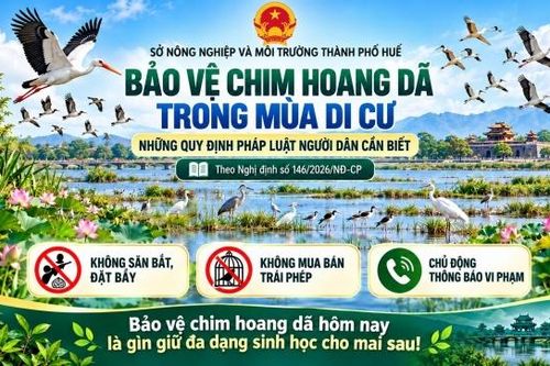 Xâm hại các loài động vật hoang dã có thể bị truy cứu trách nhiệm hình sự