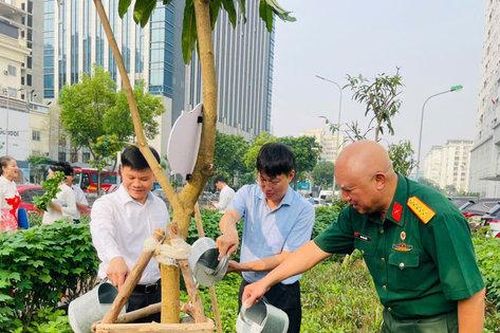 Hà Nội thu hút các tổ chức, cá nhân trồng, chăm sóc cây xanh
