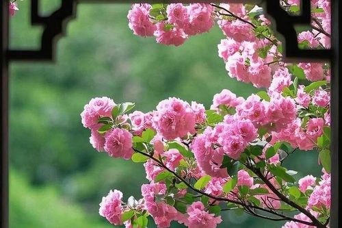 Ngày sinh Âm lịch của người tham vọng, sự nghiệp dễ thăng hoa