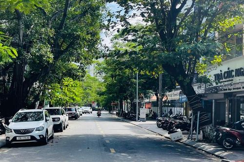 Nắng hanh ở miền Bắc kéo dài đến khi nào?