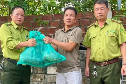 Người dân bắt được trăn đất quý hiếm trong lúc làm tường bao