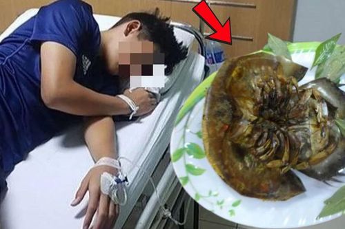 Ăn sam biển, người đàn ông 34 tuổi phải cấp cứu khẩn