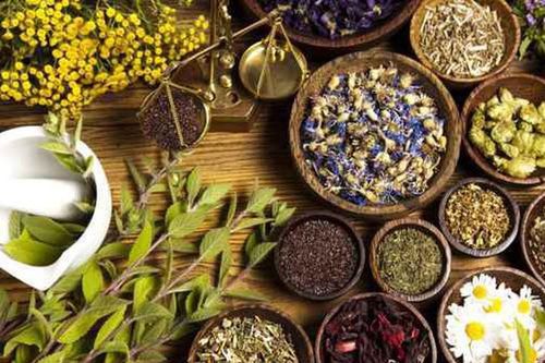 Xây dựng y học cổ truyền thành bộ phận quan trọng của hệ thống y tế quốc gia