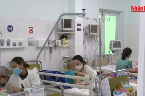 [Video] Giám sát chủ động phòng, chống bệnh truyền nhiễm