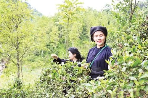 UNDP đánh giá cao tiến bộ giảm nghèo của Việt Nam