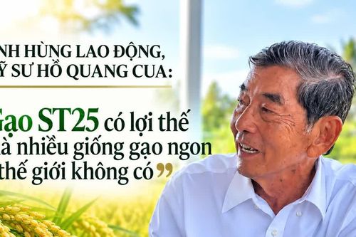 'Gạo ST25 có lợi thế mà nhiều giống gạo ngon thế giới không có'