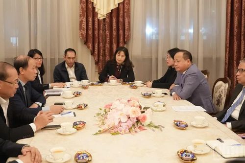 Tăng cường hỗ trợ, kết nối cộng đồng người Việt Nam tại Liên bang Nga