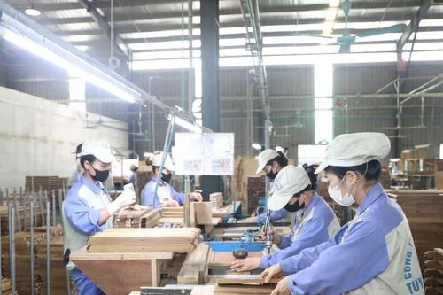 Tuyên Quang quyết tâm hoàn thành mục tiêu tăng trưởng hai con số