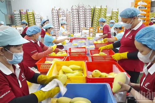 Doanh nhân Tây Ninh tâm sáng, tầm xa, vững bước phát triển