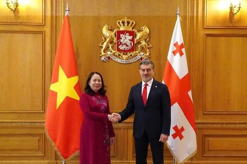 Phó Chủ tịch nước Võ Thị Ánh Xuân hội kiến Tổng thống Georgia