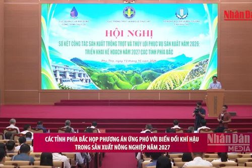 [Video] Các tỉnh phía Bắc họp phương án ứng phó với biến đổi khí hậu trong sản xuất nông nghiệp năm 2027