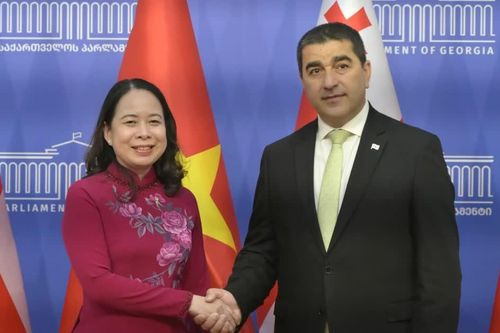 Phó Chủ tịch nước Võ Thị Ánh Xuân gặp Chủ tịch Quốc hội Georgia
