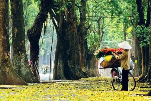 Thời tiết hôm nay (13-10): Bắc Bộ ngày nắng, miền Trung và Nam Bộ có mưa dông