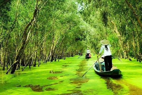 Cà Mau kêu gọi hơn 1.400 tỷ đồng phát triển du lịch sinh thái Vườn quốc gia U Minh Hạ