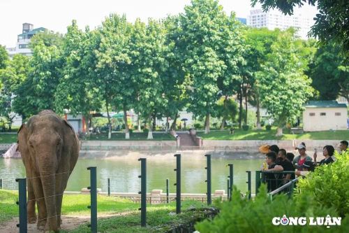 Điều chỉnh quy hoạch Công viên Thủ Lệ: Dỡ rào 70% diện tích, di dời 37 hộ dân