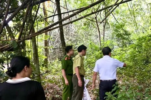 Người phụ nữ giao nộp trăn gấm quý hiếm, thả về rừng