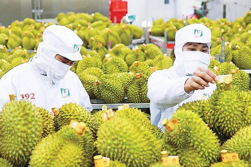 Từ 2027, áp dụng quy định mới về xác định xuất xứ hàng hóa Việt Nam