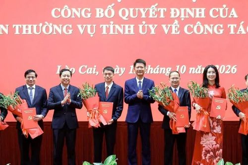 Công bố quyết định của Ban Thường vụ Tỉnh ủy Lào Cai về công tác cán bộ