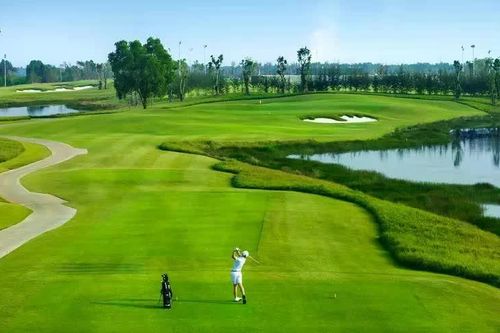 Giải Vô địch Golf Quốc gia Báo Tiền Phong - Cúp VinFast 2026: Cuộc đua kép trên sân Vinpearl Golf Léman