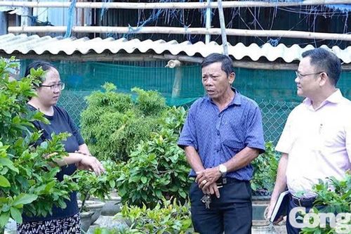 Phủ kín vốn tín dụng chính sách toàn vùng đất Tuy Phước, Gia Lai