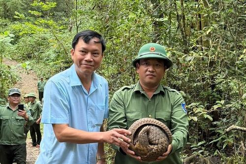 Thả 16 cá thể động vật hoang dã về rừng
