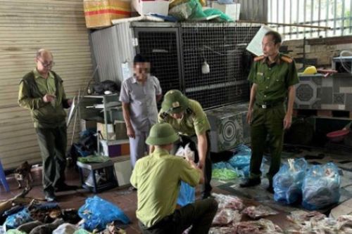 Phát hiện 89 cá thể động vật hoang dã trong tủ đông
