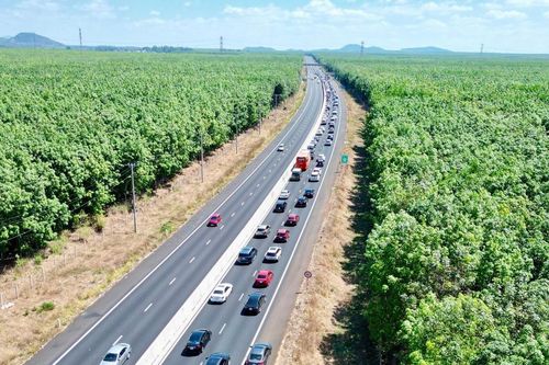 Cao tốc Phan Thiết - Dầu Giây được chạy tối đa 120km/h, rõ khoảng cách an toàn