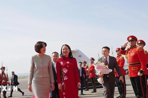 Phó Chủ tịch nước Võ Thị Ánh Xuân hội đàm với Thủ tướng Gruzia