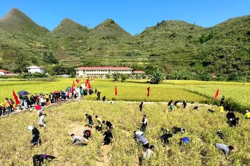 Về Tuyên Quang trải nghiệm lội ruộng bắt cá bằng tay cùng đồng bào dân tộc Tày