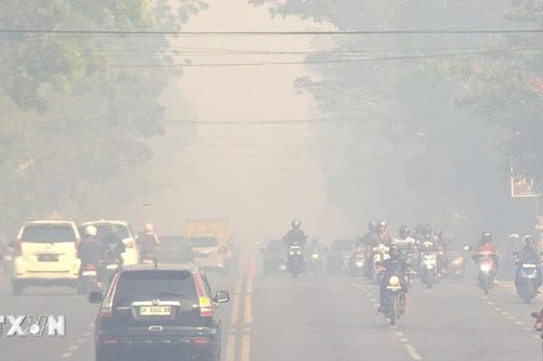 Cháy rừng ở ASEAN: 'Phép thử' năng lực ứng phó chung