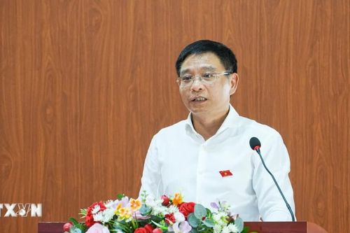 Kiến nghị tháo gỡ khó khăn trong triển khai các dự án kinh tế dưới tán rừng