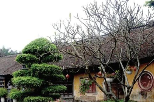 Chùa Thái Lạc-nơi lưu giữ tinh hoa nghệ thuật chạm khắc gỗ thời Trần