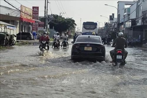 Triều cường gây ngập nặng và nhiều đoạn trên Quốc lộ 1A tại Cà Mau