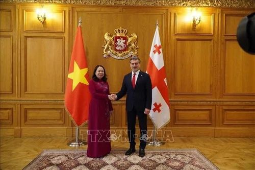 Phó Chủ tịch nước Võ Thị Ánh Xuân hội kiến lãnh đạo cấp cao Gruzia