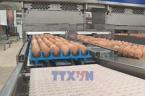 Xuất khẩu nông sản chạy nước rút về đích