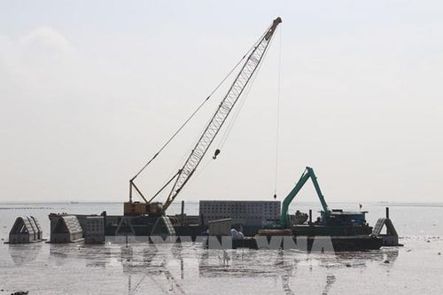 Gò Công dựng lá chắn trước nguy cơ biển xâm thực
