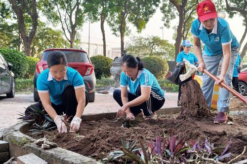 Phụ nữ phường Việt Hưng 'hô biến' điểm đen rác thải thành vườn hoa
