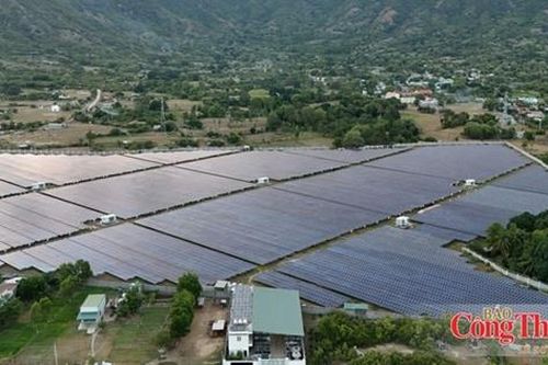 Phát triển điện mặt trời trong nông nghiệp: Bài học từ châu Âu